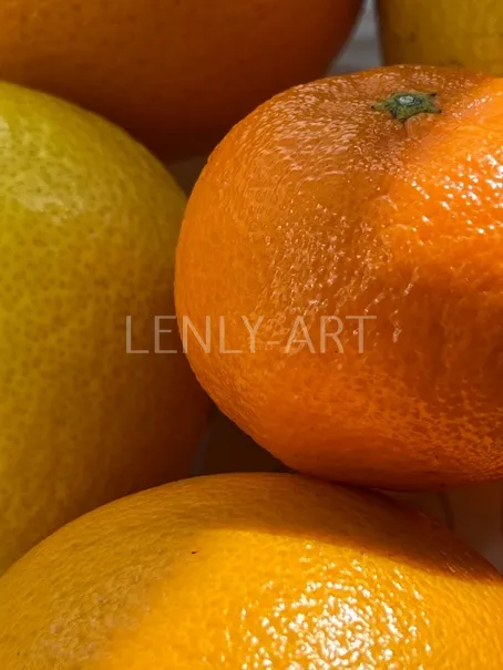 Апельсины как фон #301