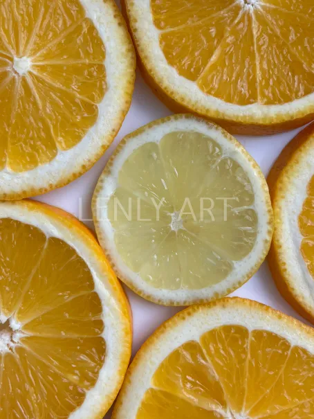 Дольки апельсина и лимона #522