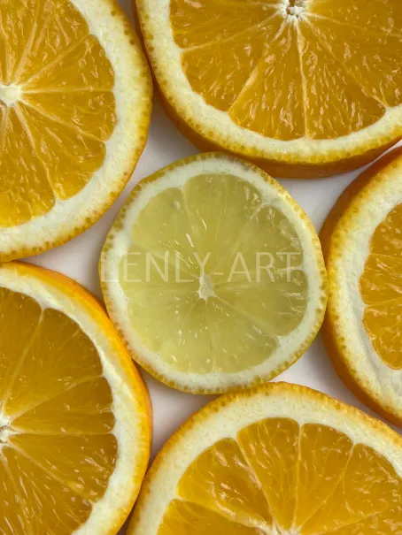 Дольки апельсина и лимона #523