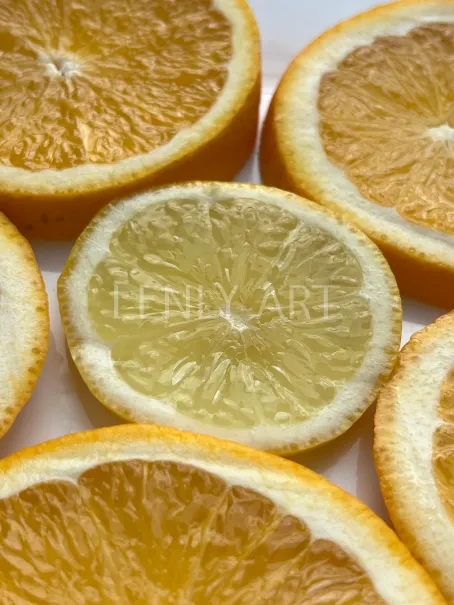 Дольки апельсина и лимона #524
