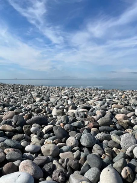 Камни на морском берегу #599