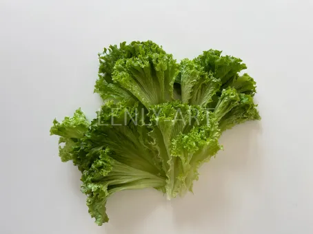 Зеленый салат #630