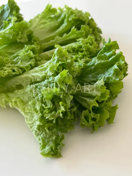 Зеленый салат на столе #640