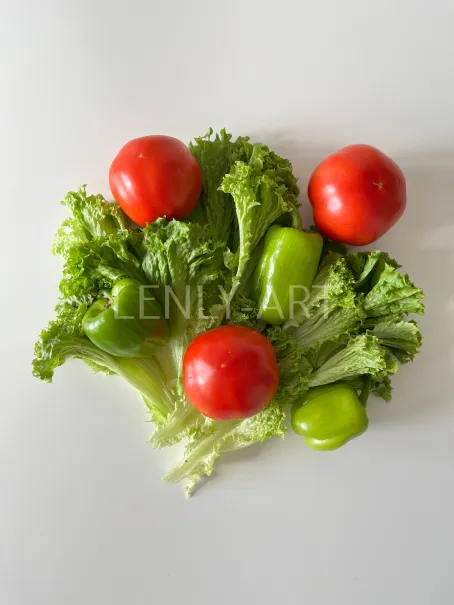 Зеленый салат, перцы и помидоры на белом фоне #647